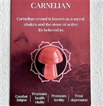 Mushroom shaped healing stones/pocket stones with card CARNELIAN