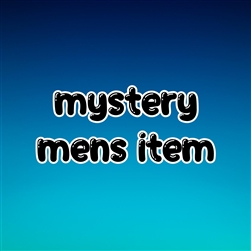 1 mystery mens item