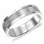 14K White Gold Band