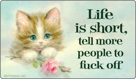 Life is short, tell more people to fuck off