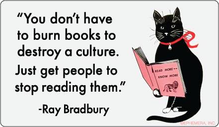 "You don't have to burn books to destroy a culture.  Just get people to stop reading them."