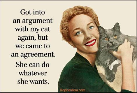 Got into an argument with my cat again, but we came to an agreement. She can do whatever she wants.