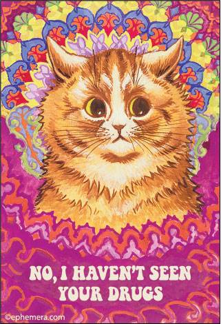 NO, I HAVEN'T SEEN YOUR DRUGS