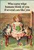 Who cares what humans think of you if several cats like you
