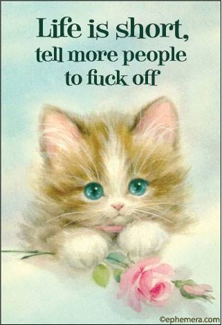 Life is short, tell more people to fuck off