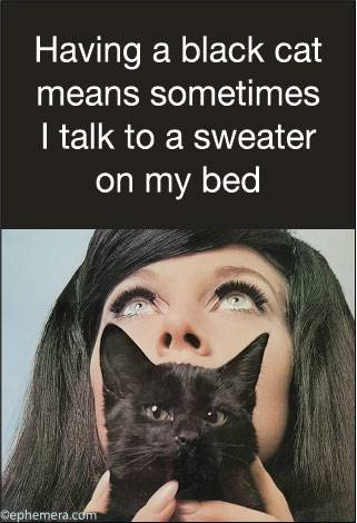 Having a black cat means I sometimes I talk to a sweater on my bed