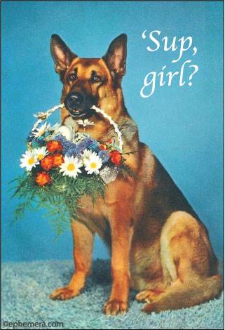 Sup, girl?