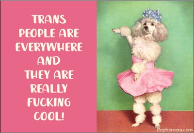 Transpeople are Everywhere and they are really fucking cool!