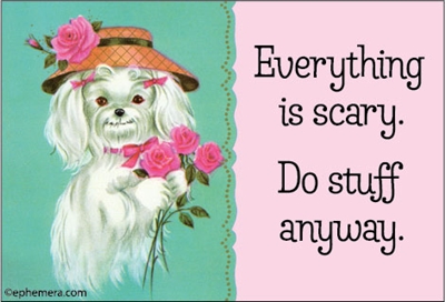Everything is scary. Do stuff anyway.