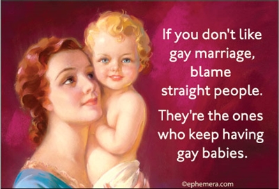 If you don't like gay marriage, blame the straight people. They're the ones who keep having gay babies.