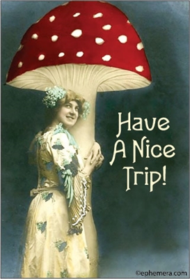 Have a nice trip!