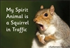 My Spirit Animal is a Squirrel in Traffic