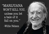 "MARIJUANA WON'T KILL YOU, unless you let a bale of it fall on you." -Willie Nelson