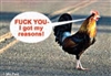 FUCK YOU - I got my reasons! (Chicken crossing the road)
