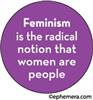 Feminism is the radical notion that women are people