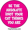 Be the absolute idiot your cat thinks you are.