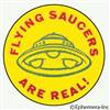 Flying saucers are real!