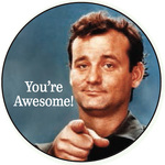You're awesome (Bill Murray)