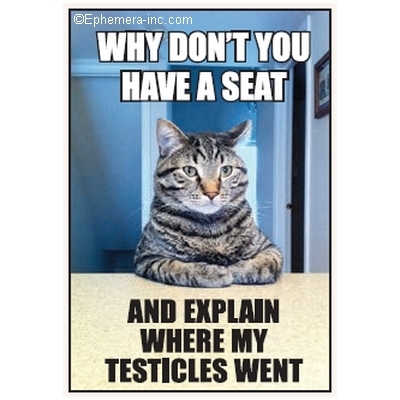 Why don't you have a seat and explain where my testicles went