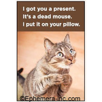 I got you a present. It's a dead mouse. I put it on your pillow.