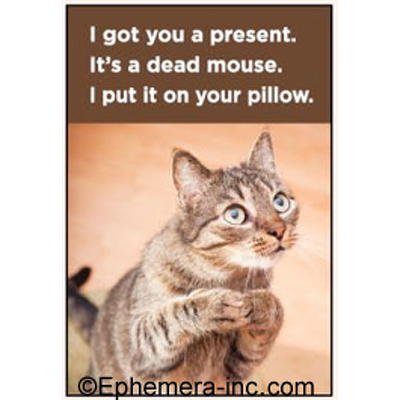 I got you a present. It's a dead mouse. I put it on your pillow.
