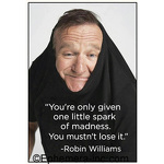 "You're only given one little spark of madness. You mustn't lose it." -Robin Williams