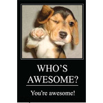 WHO'S AWESOME? You're awesome!
