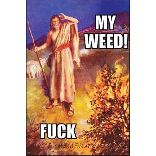 My weed! FUCK