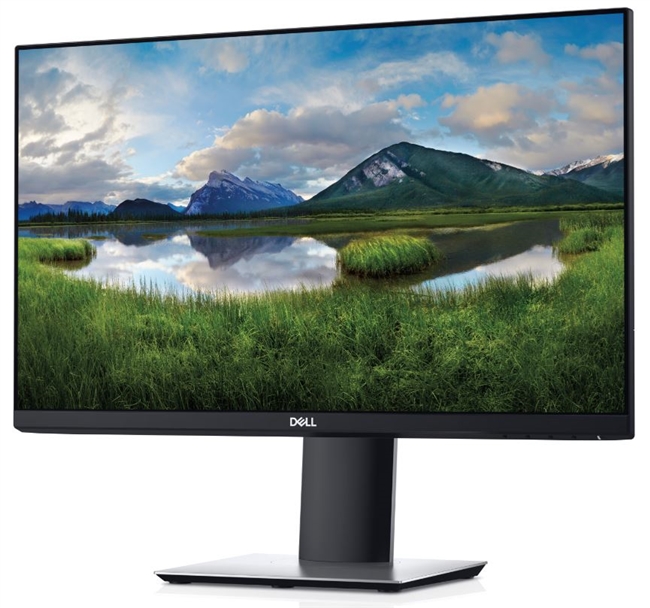 Dell 23" P2319H Monitor