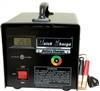 p147620812 : 12-16 Volt Racing Charger