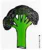 ash Towel-100% Biodegrade- Broccoli