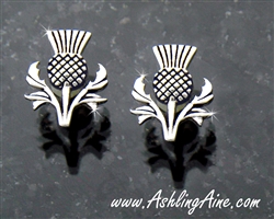 Bold and Beautiful Scottish Thistle Earrings (S181)