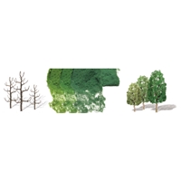 0592024 PROFESSIONAL TREES: SYCAMORE 2.5" to 4" PRO KIT, HO-scale, 10/pk