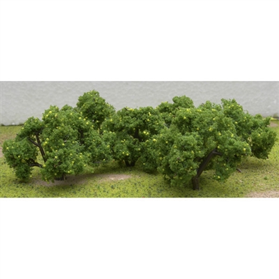0592123 FRUIT GROVE: LEMON TREES 2" - 2 1/4" 6/pk