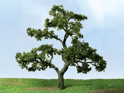 0592323 PRO-ELITE TREES: BEECH 3" to 3.5" PRO-ELITE, 2/pk