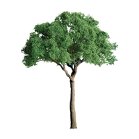 0594283 PROFESSIONAL TREES: GREEN JACARANDA 3/4'' PRO, 6/pk