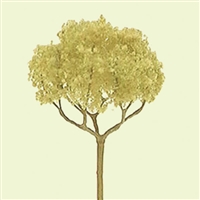 0594321 PROFESSIONAL TREES: BASSWOOD - ROUND HEAD 2'' PRO, 4/pk