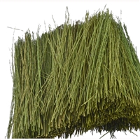 0595086 FIELD GRASS, Light Green, Bag 15g