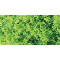 0595103 TURF, MARTIAN GREEN - Medium, Shaker 60 cu in