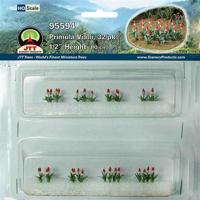 0595594 PRIMULA VIALLI, HO-scale, 32/pk