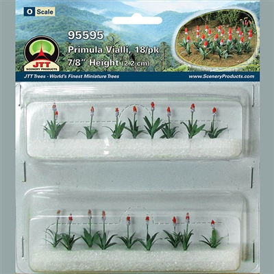 0595595 PRIMULA VIALLI, O-scale, 18/pk