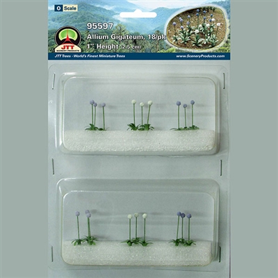 0595597 ALLIUM GIGATEUM, O-scale, 18/pk