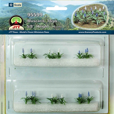 0595599 MUSCARIS, O-scale, 18/pk