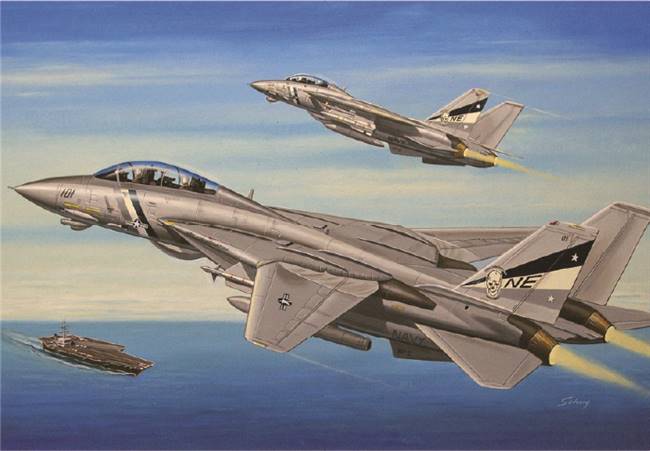 80278 1/72 F-14D Super Tomcat