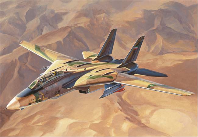 81771 1/48 Persian Cat F-14A TomCat - IRIAF