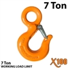 X100 Alloy Eye Hoist Hook