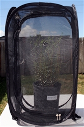 Black 13.5" by 13.5" by 24" Popup Cage without Vinyl Window