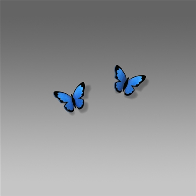 Sienna Sky Earrings-Blue Morpho Butterfly Studs