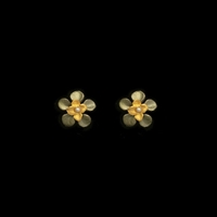 Desert Flower Post Earrings