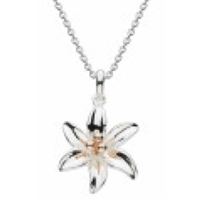 Sterling Silver & Rose Gold Plated â€œTiger Lilyâ€ Necklace